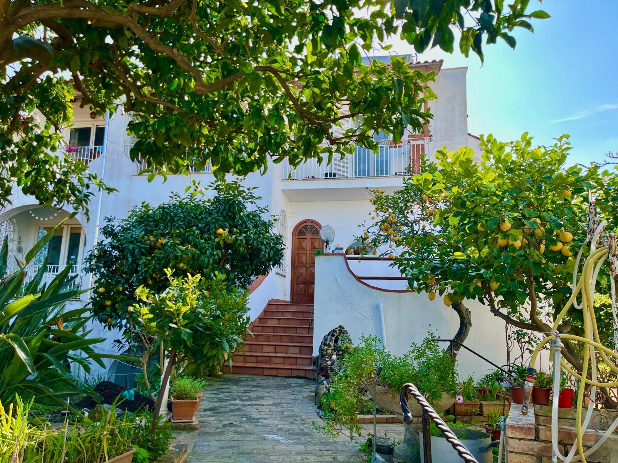 Villa Elke อีสเกีย ภายนอก รูปภาพ